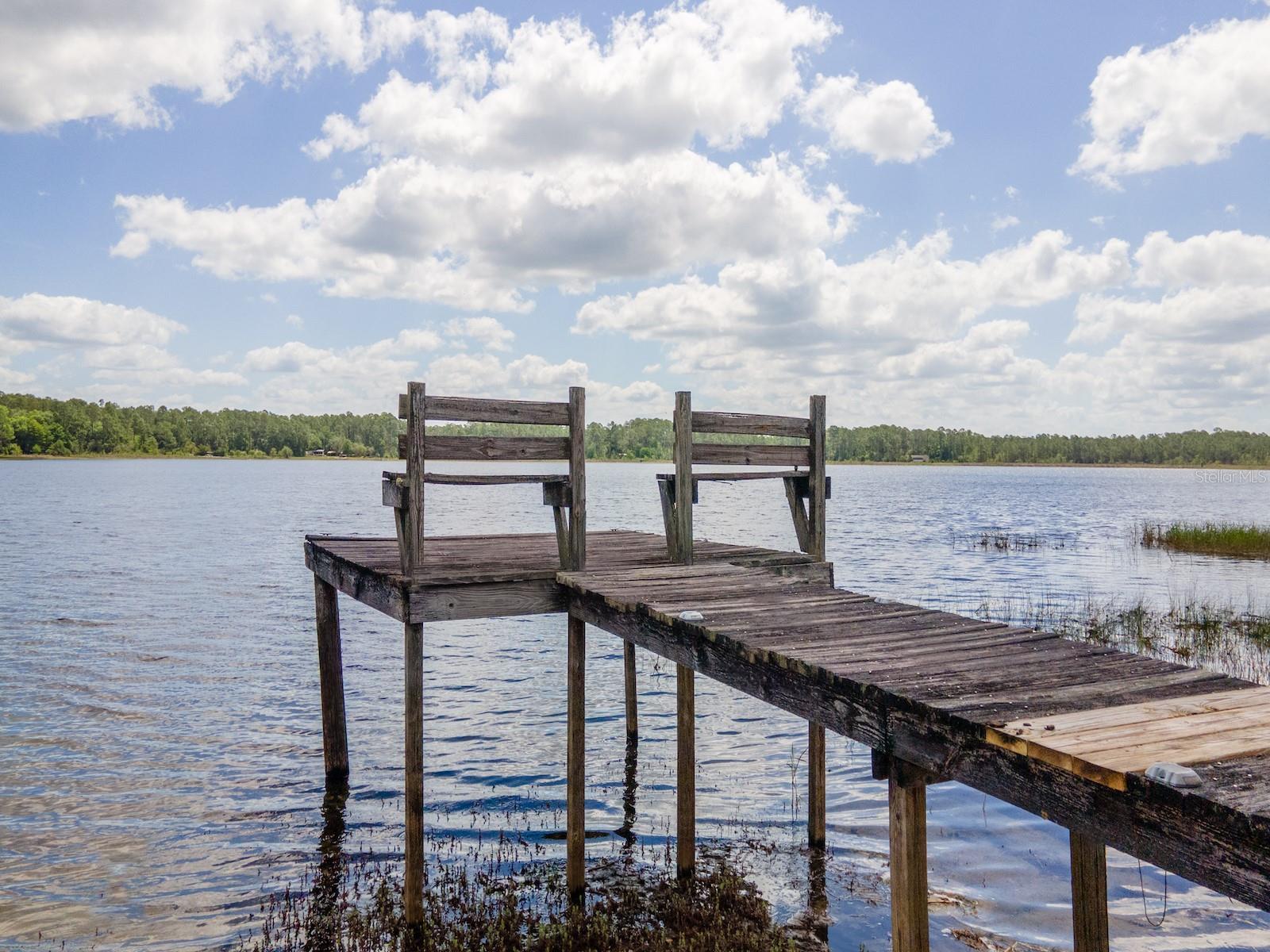 23191 NE 112TH COURT RD, FORT MC COY, FL, 32134