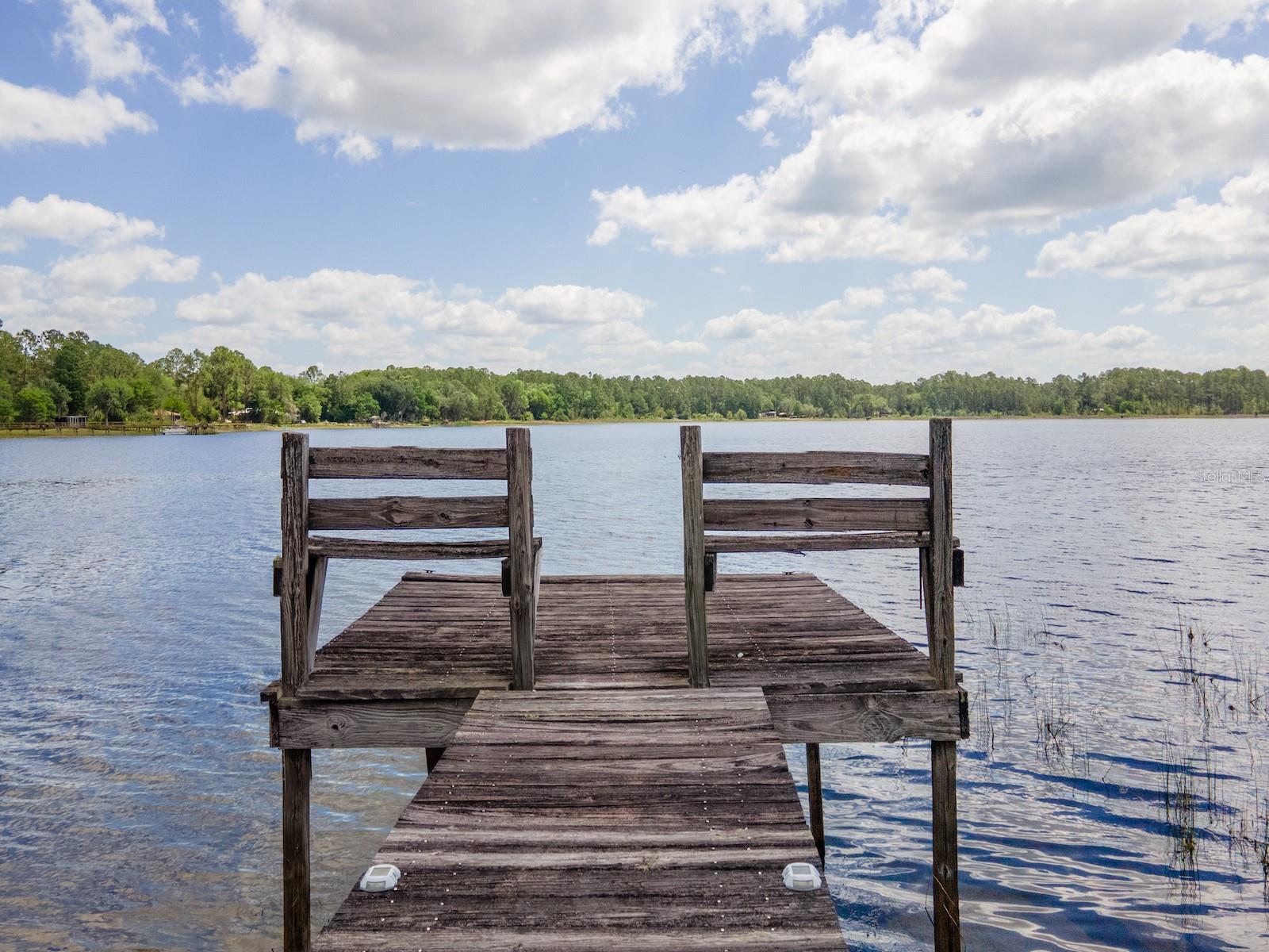 23191 NE 112TH COURT RD, FORT MC COY, FL, 32134
