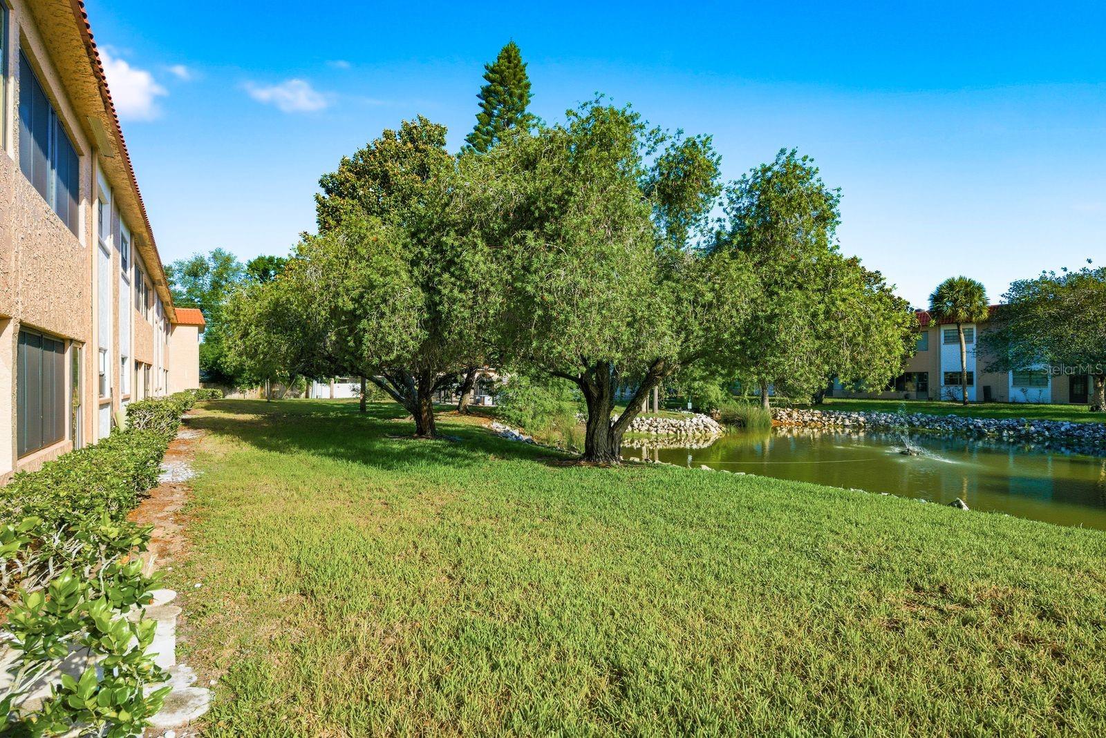 1750 BELLEAIR FOREST DR #C7, BELLEAIR, FL, 33756