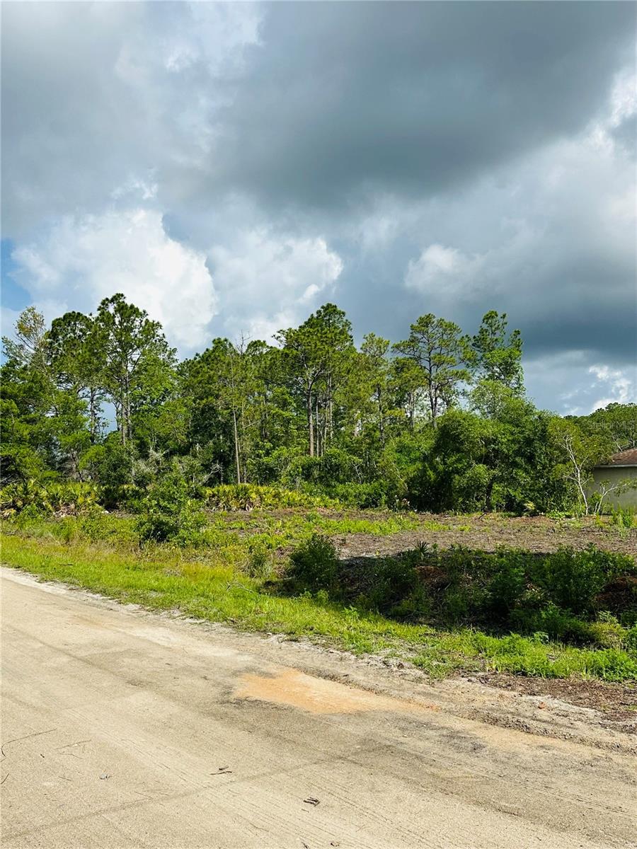 2873 LAUREL RD, DELAND, FL, 32724