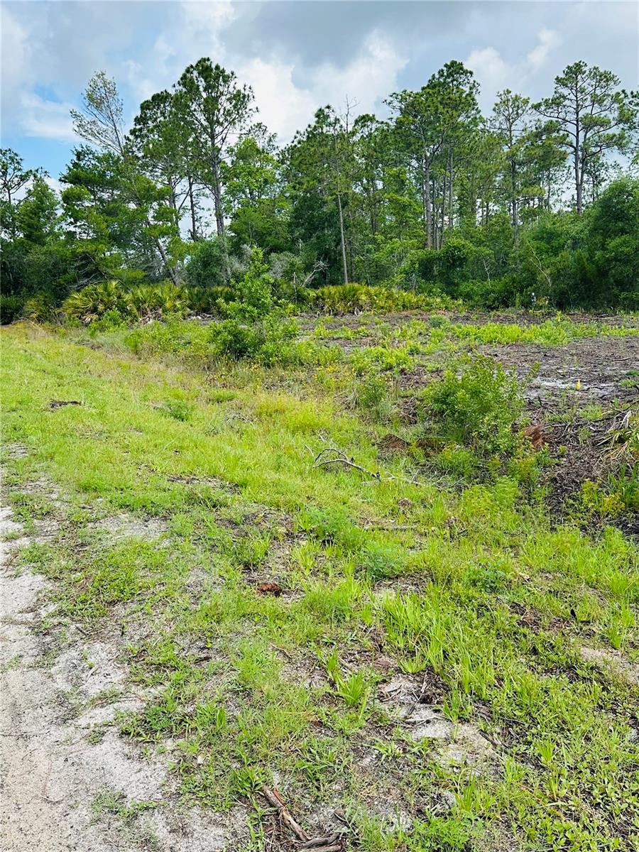 2873 LAUREL RD, DELAND, FL, 32724