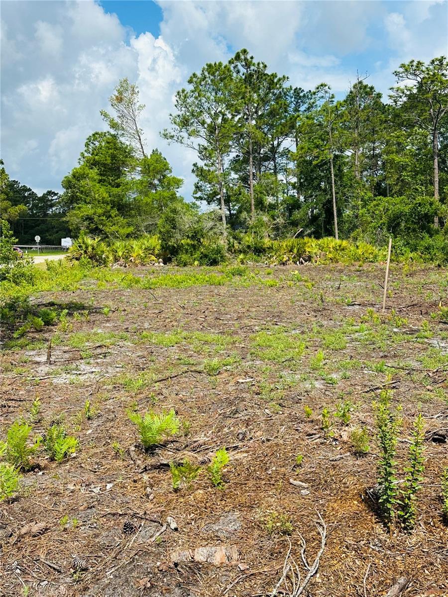 2873 LAUREL RD, DELAND, FL, 32724