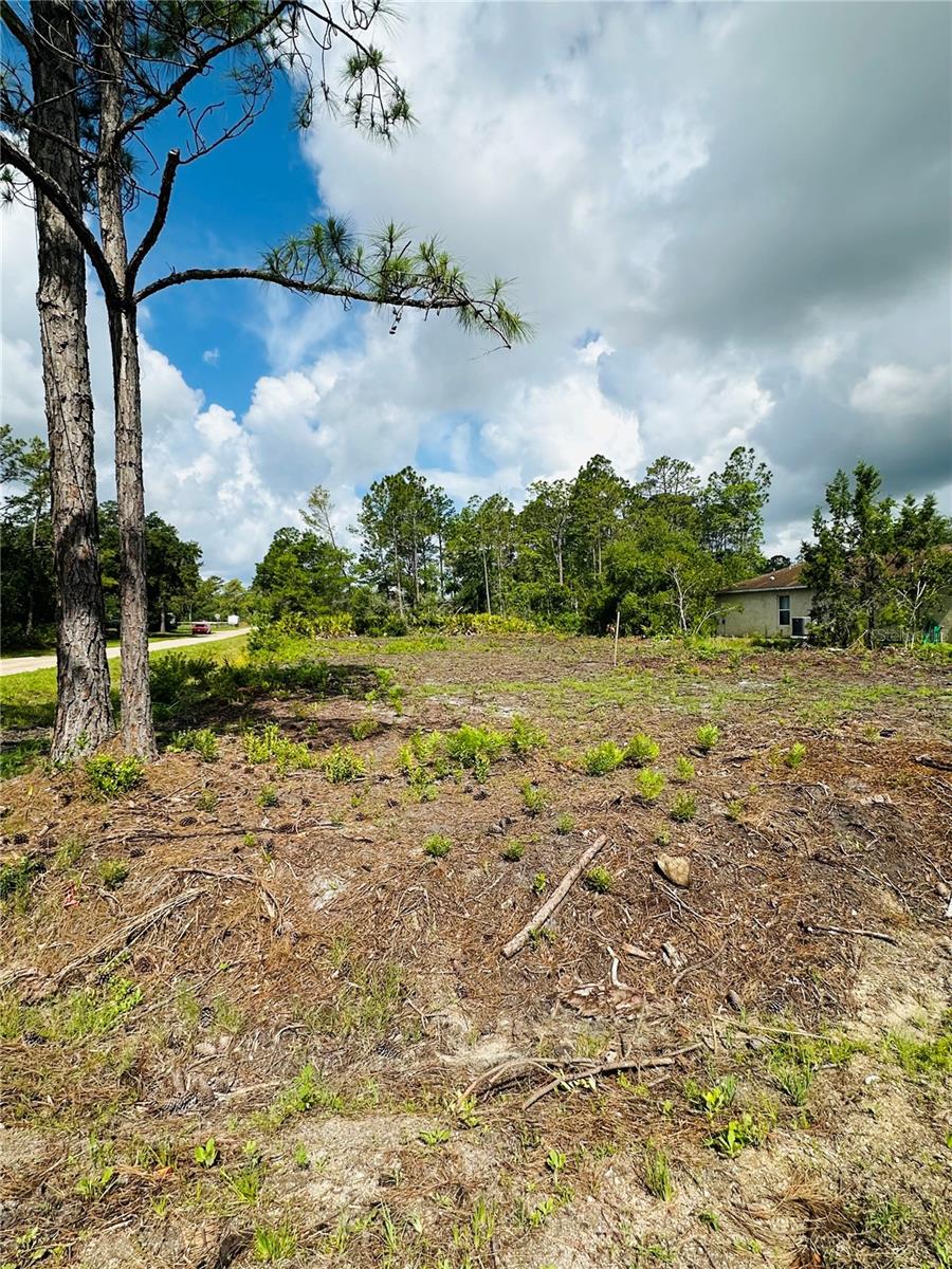 2873 LAUREL RD, DELAND, FL, 32724