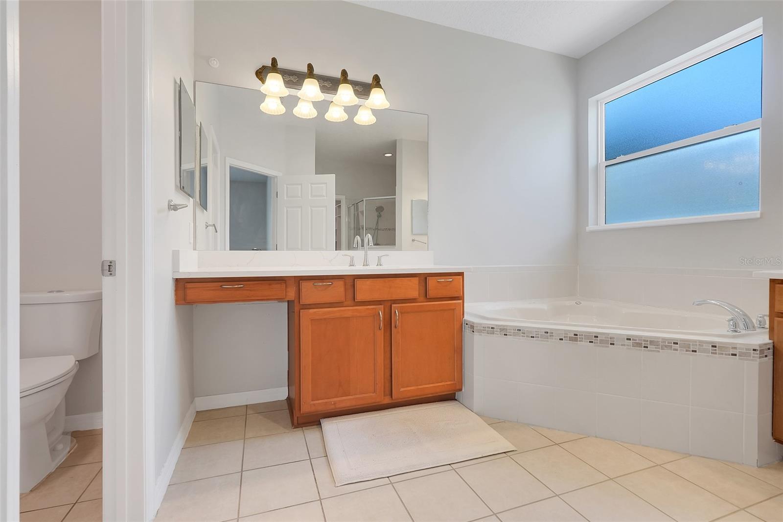 10901 LEMAY DR, CLERMONT, FL, 34711