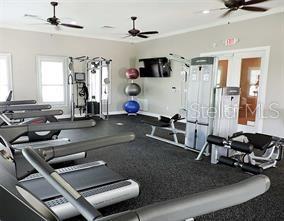 11818 SKY ACRES TER, BRADENTON, FL, 34211