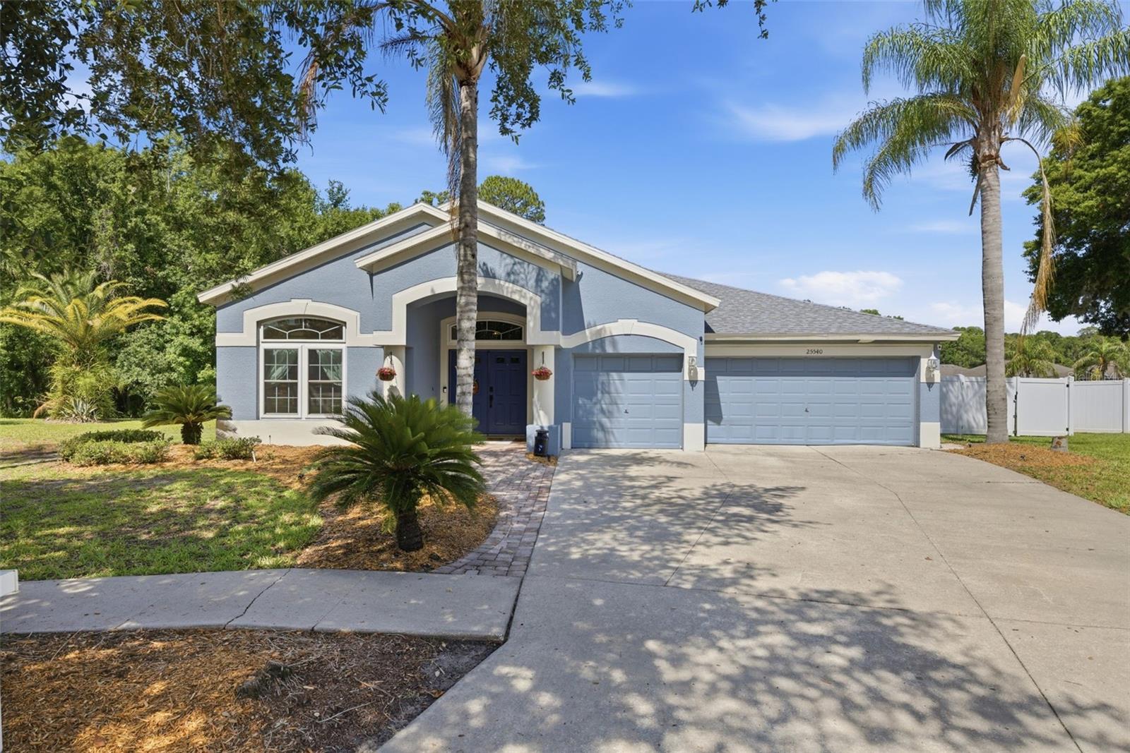 25540 RISEN STAR DR, WESLEY CHAPEL, FL, 33544