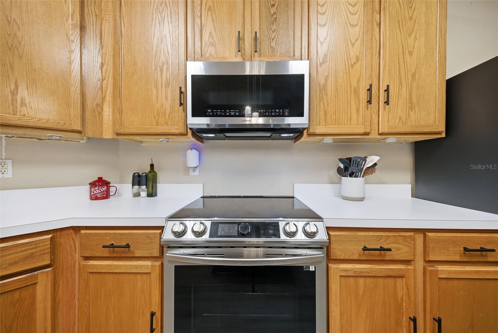 25540 RISEN STAR DR, WESLEY CHAPEL, FL, 33544