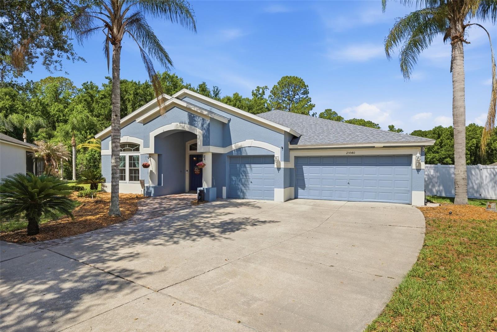 25540 RISEN STAR DR, WESLEY CHAPEL, FL, 33544
