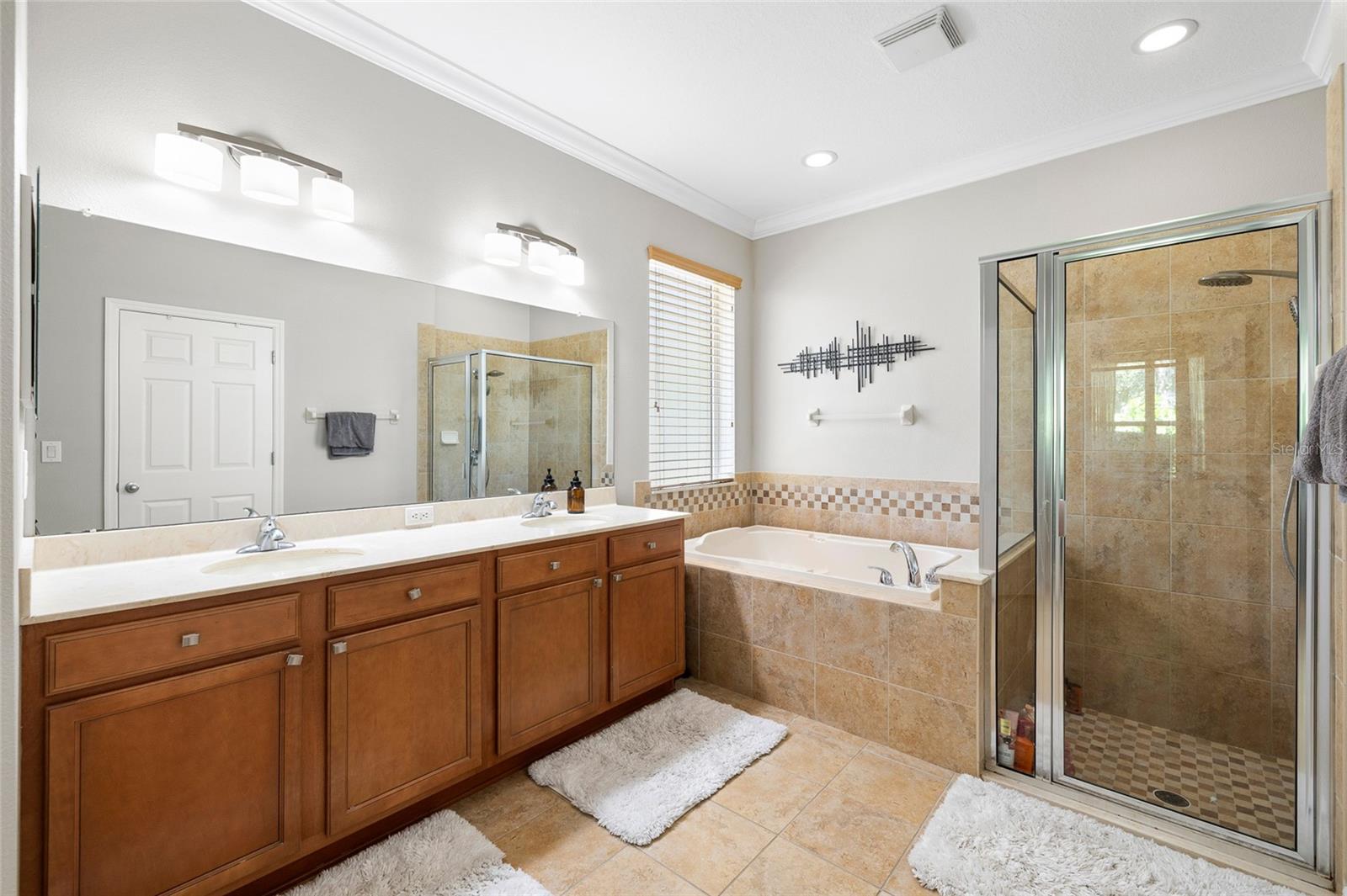 15841 STARLING WATER DR, LITHIA, FL, 33547