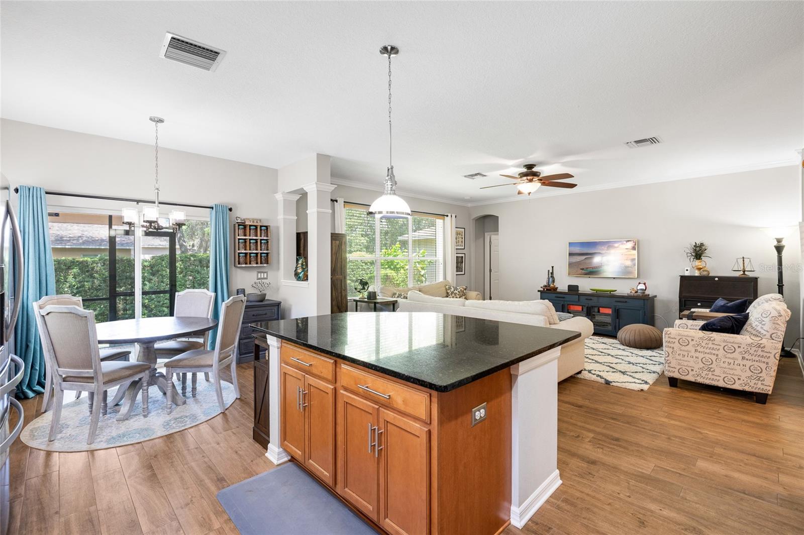 15841 STARLING WATER DR, LITHIA, FL, 33547