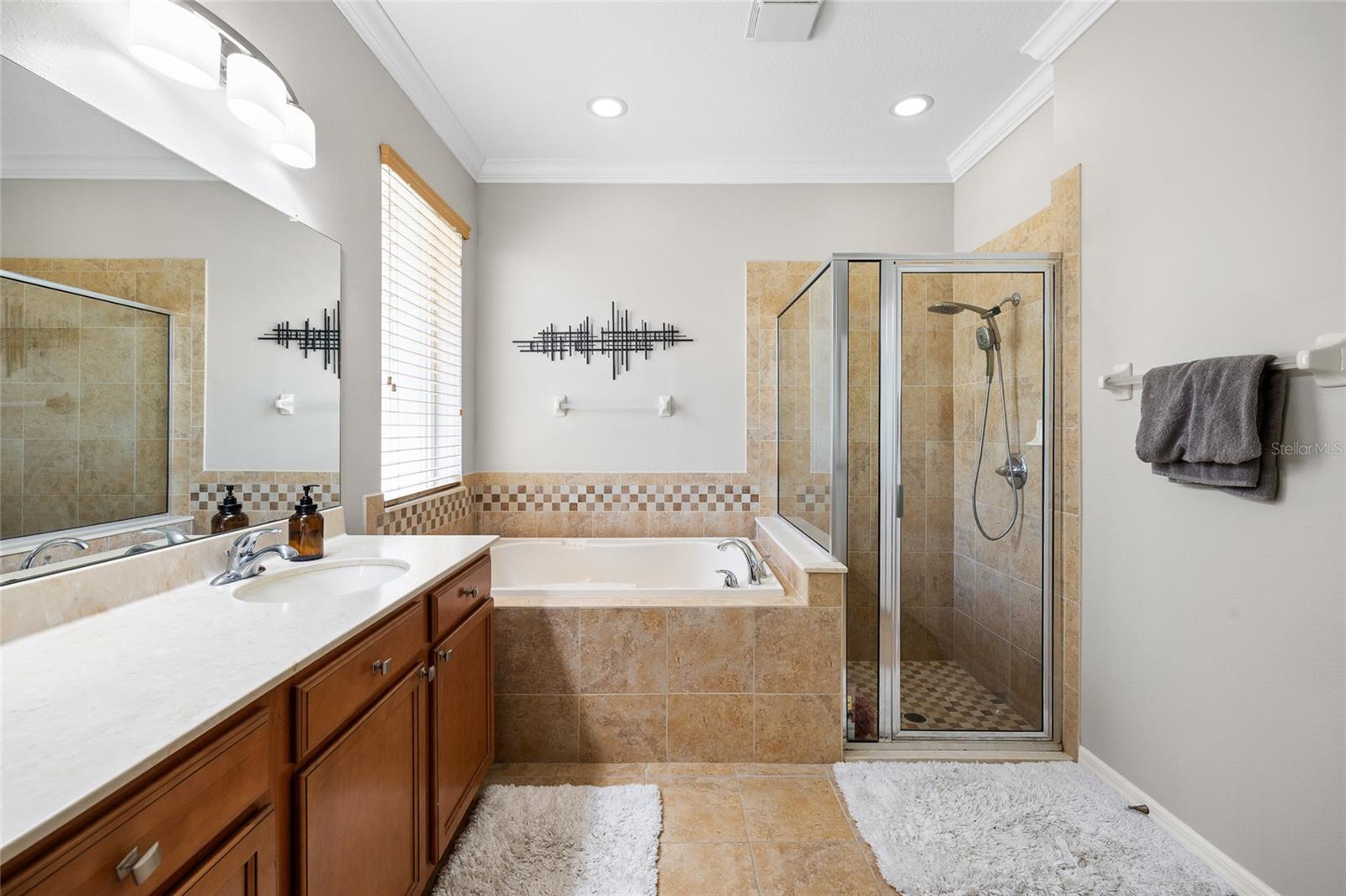 15841 STARLING WATER DR, LITHIA, FL, 33547
