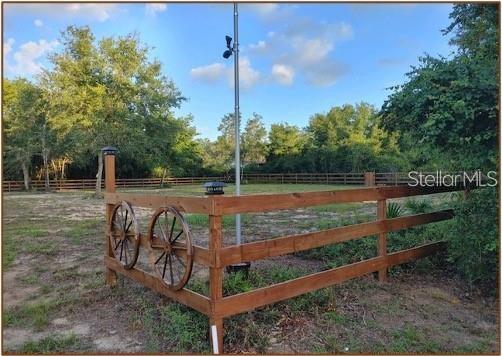 NE 135TH ST, SALT SPRINGS, FL, 32134