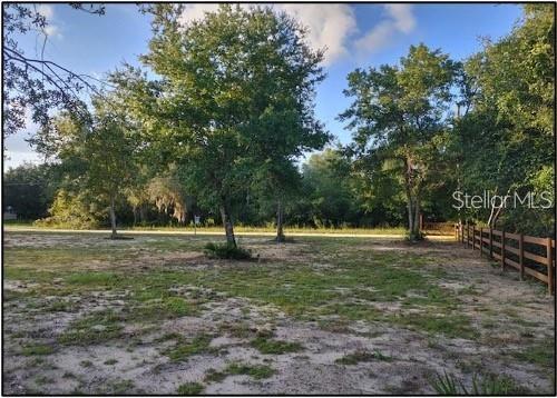 NE 135TH ST, SALT SPRINGS, FL, 32134