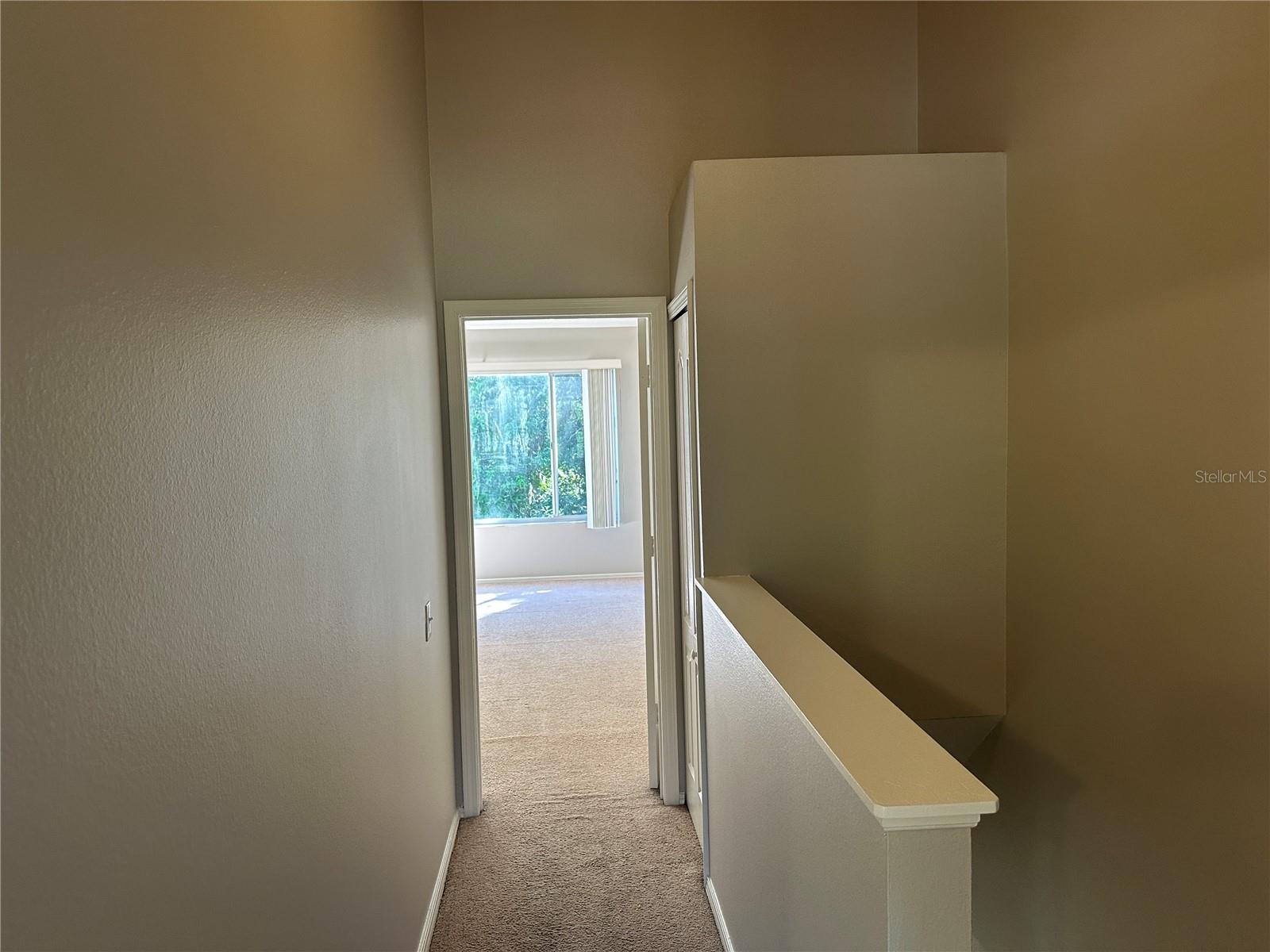 1239 KENNEWICK CT, WESLEY CHAPEL, FL, 33543