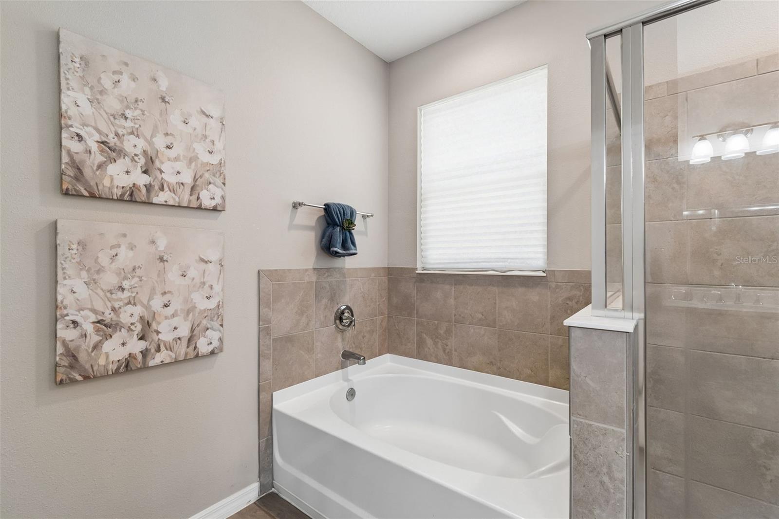 12507 CANDLEBERRY CIR, TAMPA, FL, 33635