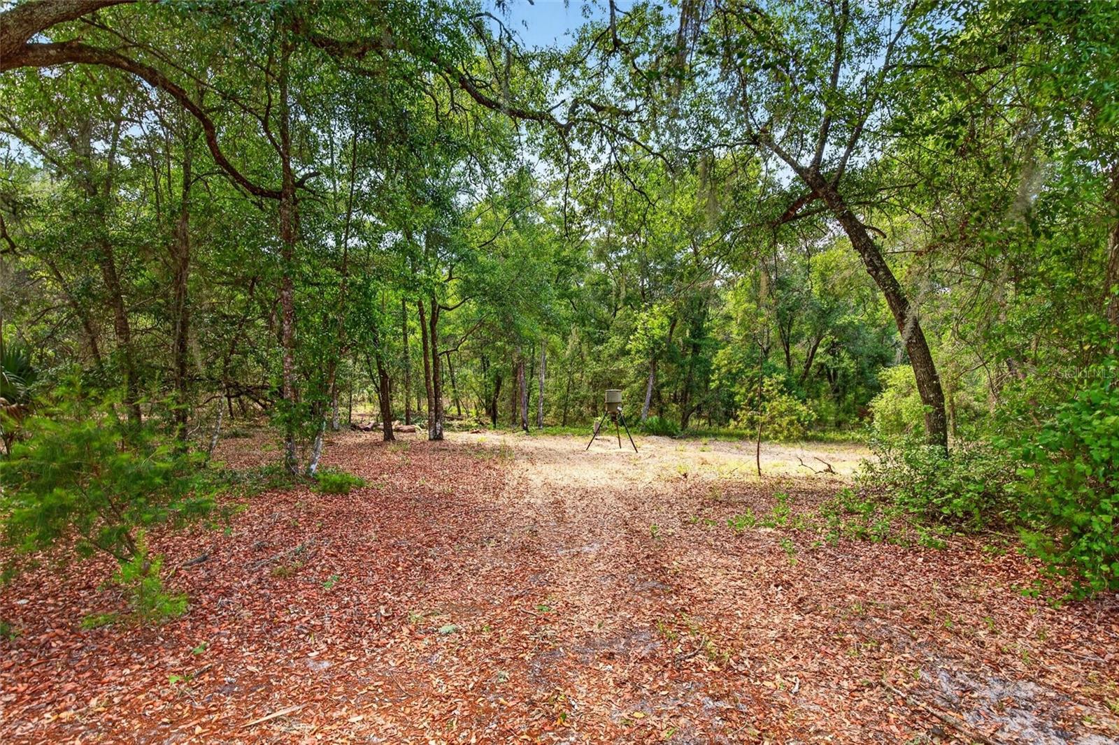 5390 EAST AVE, DE LEON SPRINGS, FL, 32130