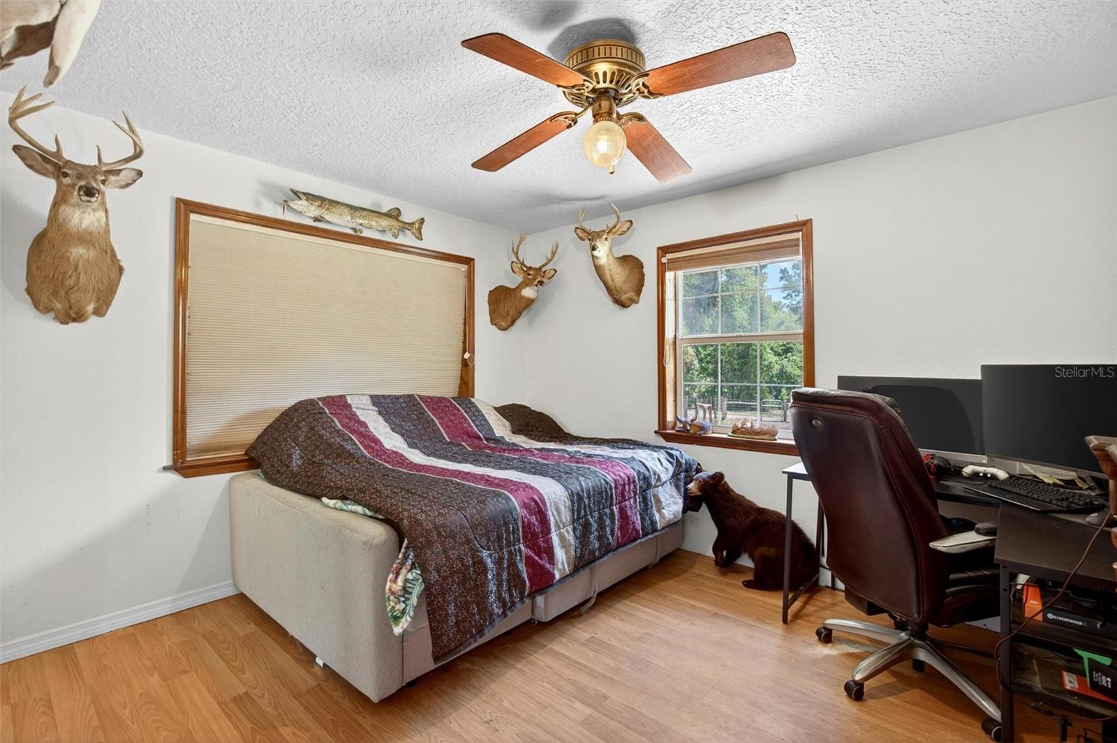 5390 EAST AVE, DE LEON SPRINGS, FL, 32130