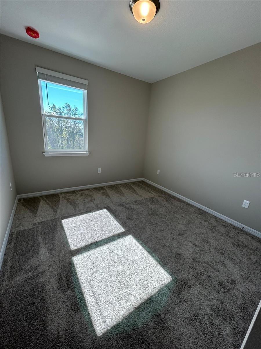 14286 BRAEMAR ST, WINTER GARDEN, FL, 34787