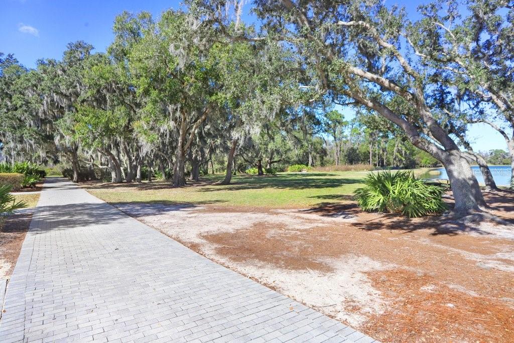 12683 BURNS DR, ODESSA, FL, 33556