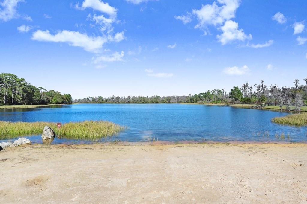 12683 BURNS DR, ODESSA, FL, 33556