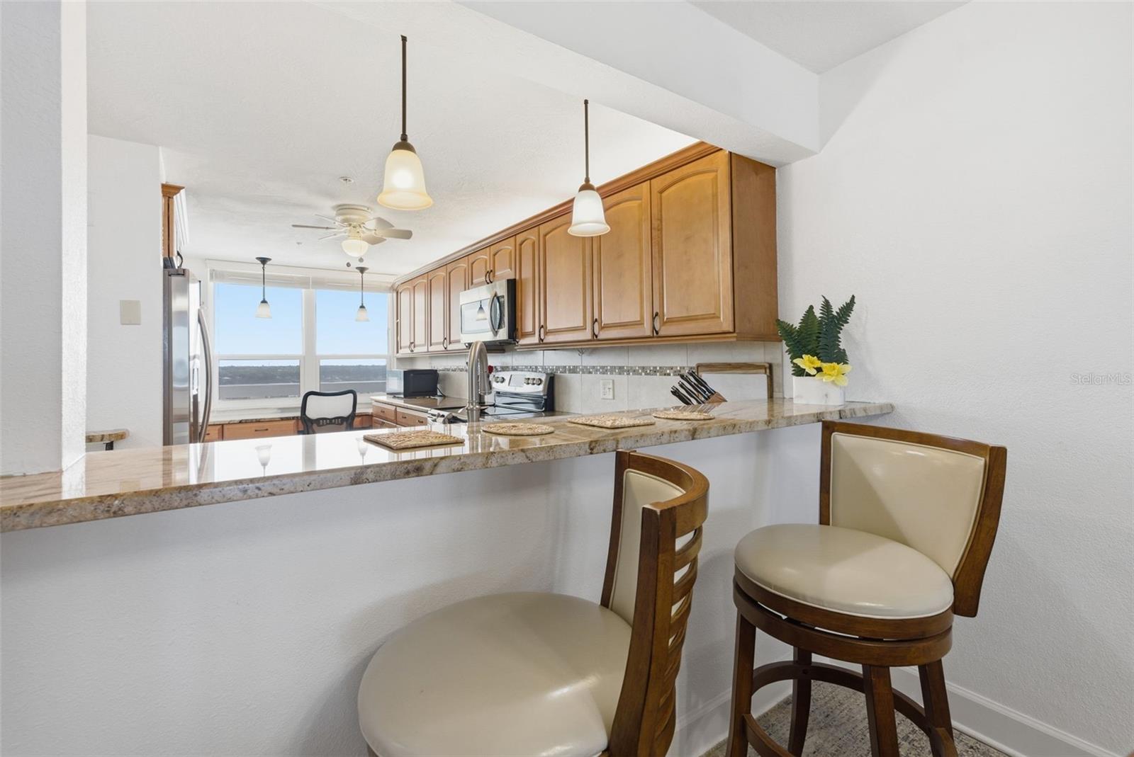 17900 GULF BLVD #12C, REDINGTON SHORES, FL, 33708