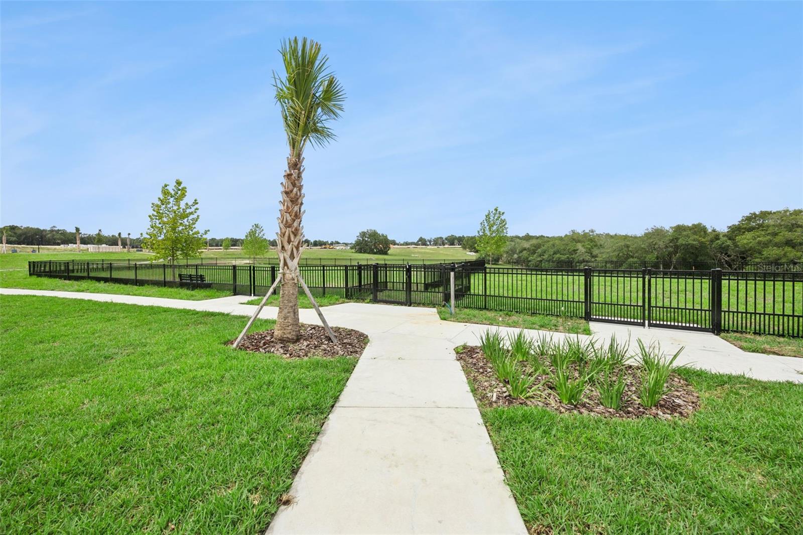 5150 BLANKET FLOWER ST, APOPKA, FL, 32712