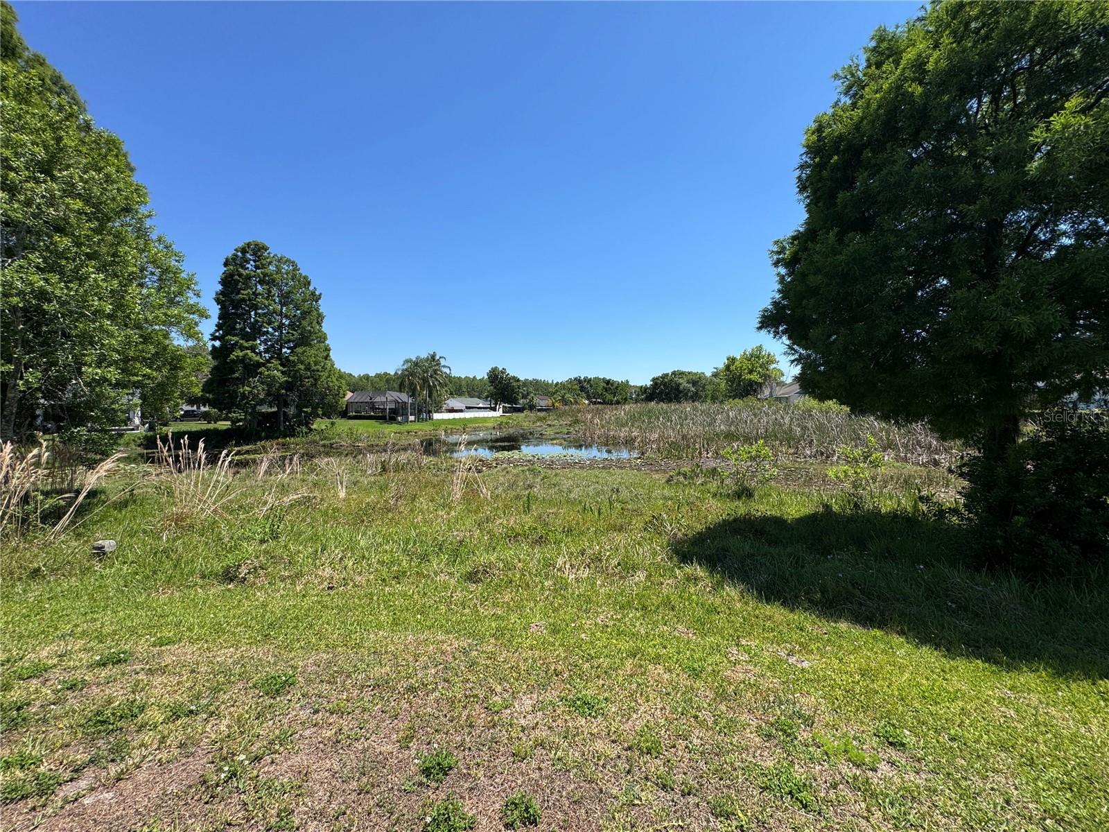 21606 ROSEWOOD CT, LUTZ, FL, 33549