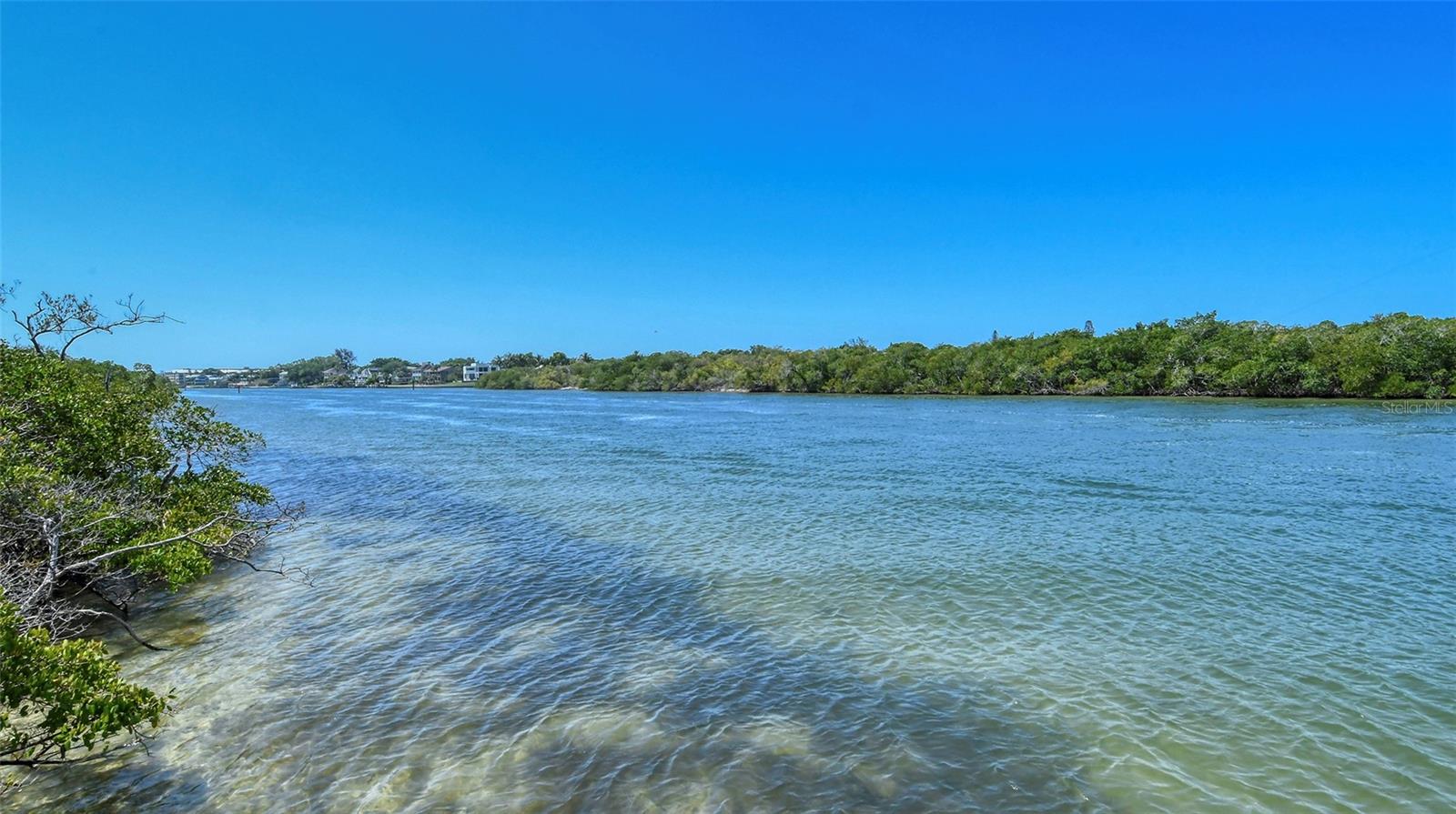 1632 STARLING DR #101, SARASOTA, FL, 34231