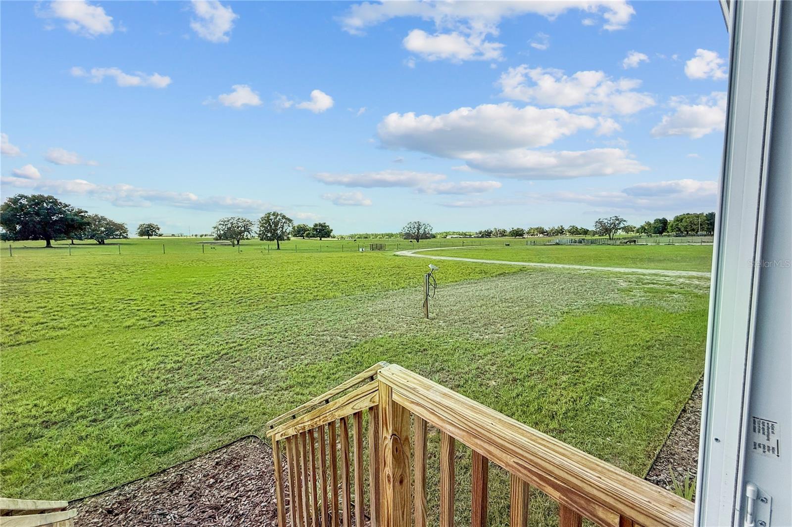 9650 COCKATOO LN, GROVELAND, FL, 34736