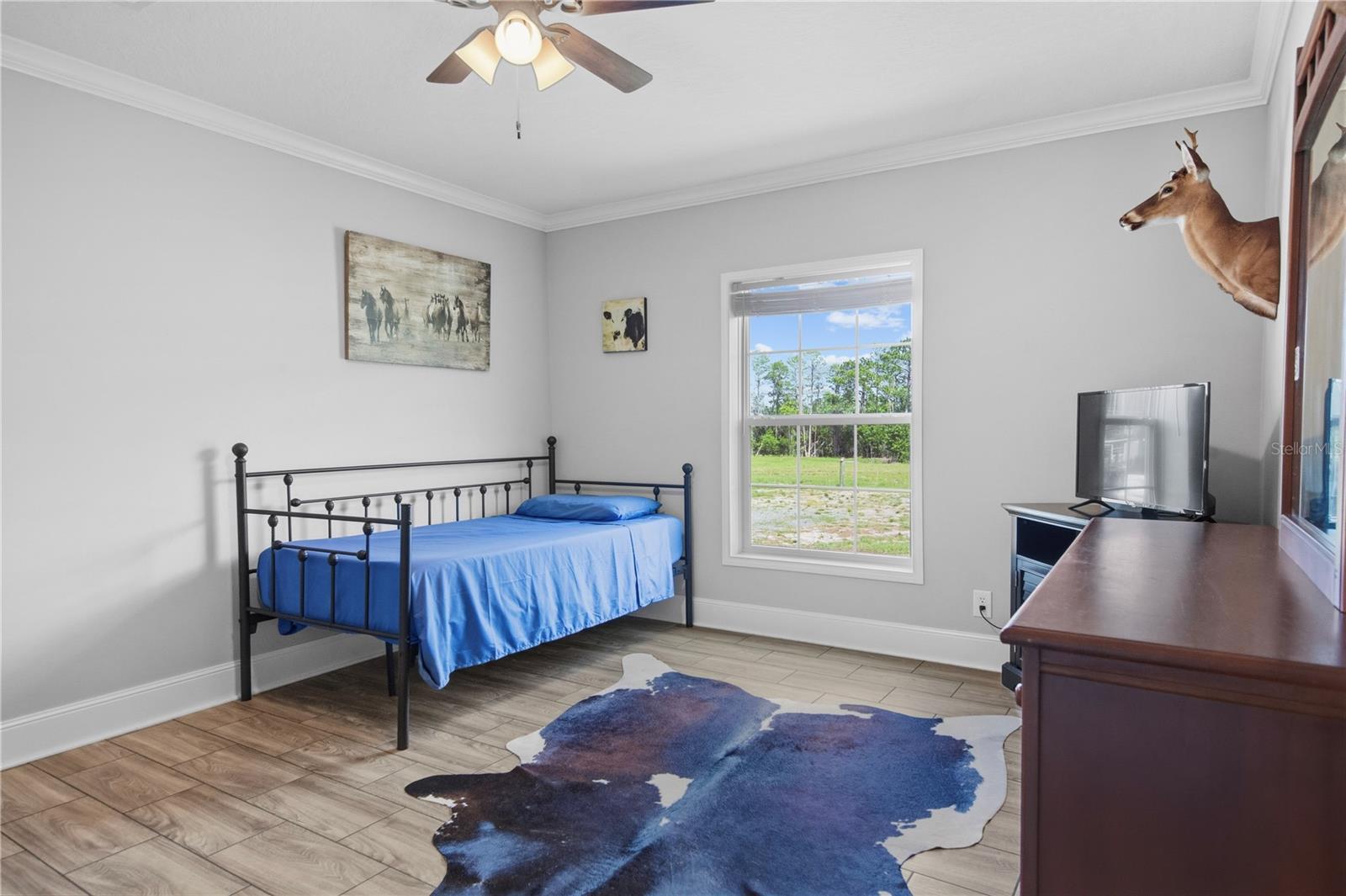 9650 COCKATOO LN, GROVELAND, FL, 34736