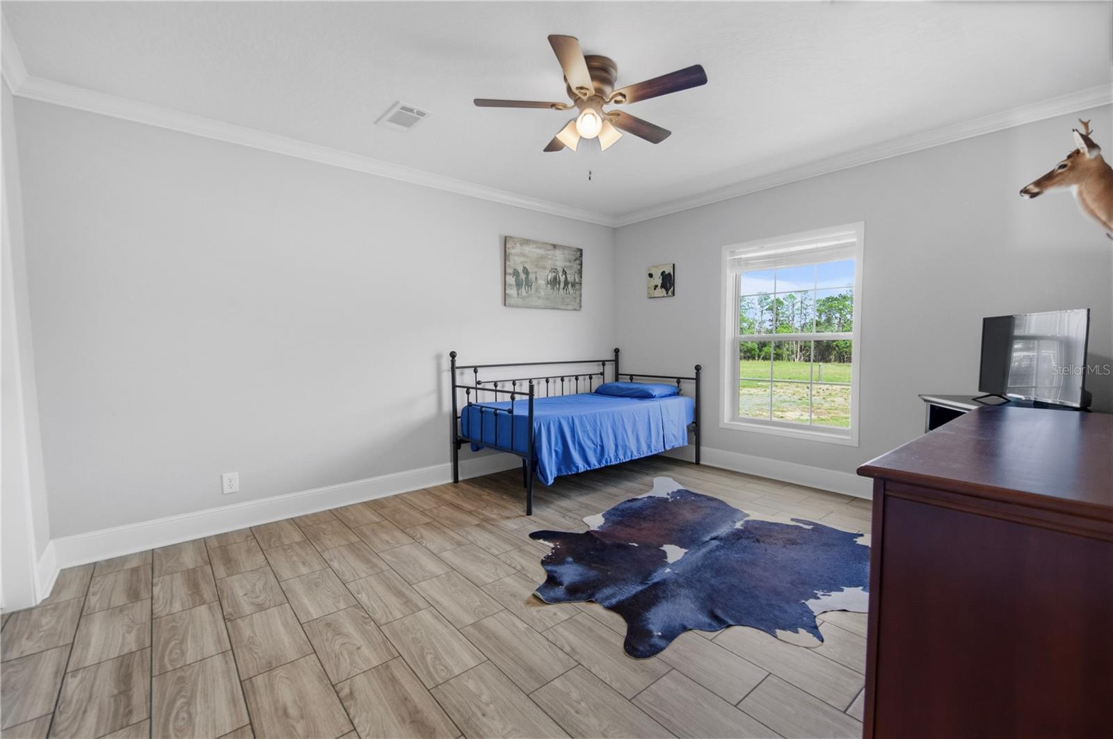 9650 COCKATOO LN, GROVELAND, FL, 34736