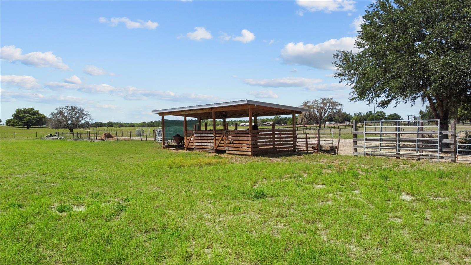 9650 COCKATOO LN, GROVELAND, FL, 34736