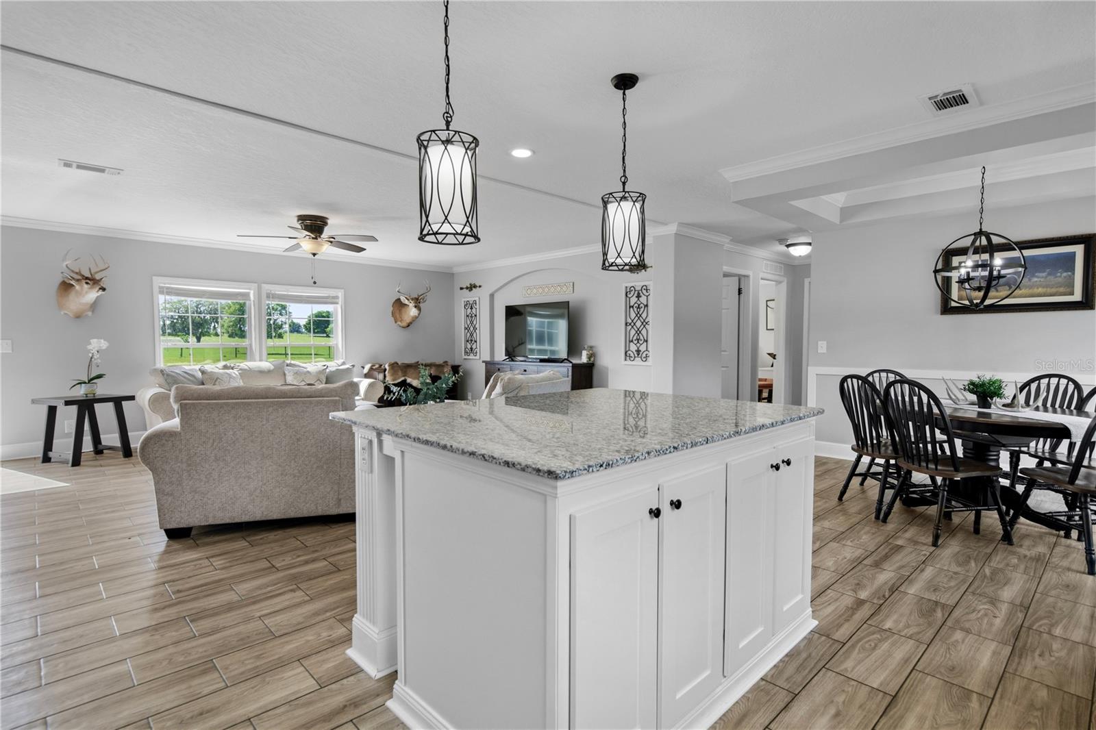 9650 COCKATOO LN, GROVELAND, FL, 34736