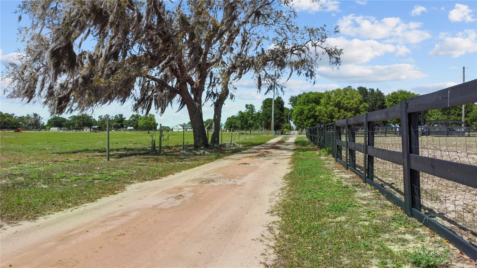 9650 COCKATOO LN, GROVELAND, FL, 34736