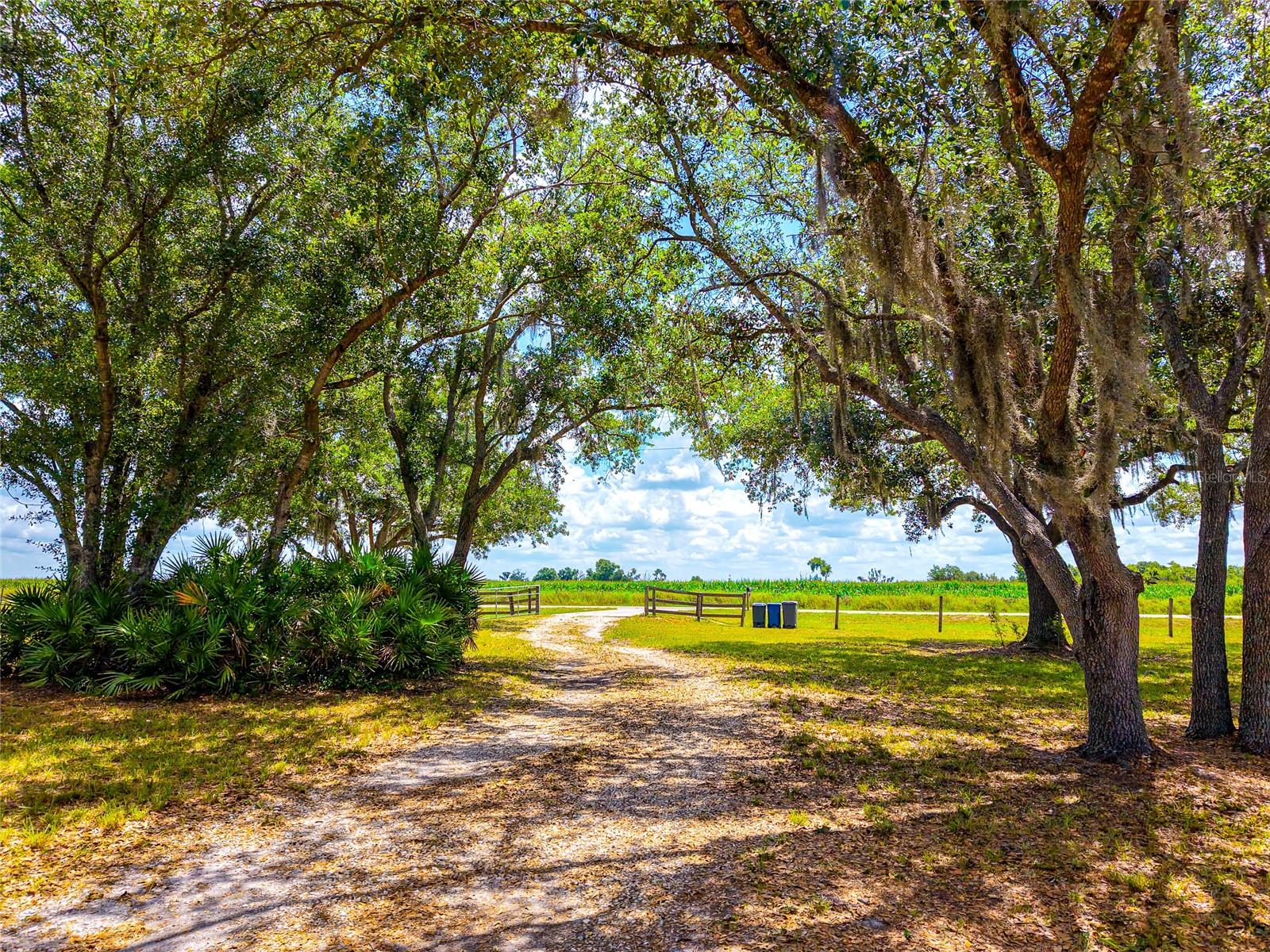14110 SUGAR BOWL RD, MYAKKA CITY, FL, 34251