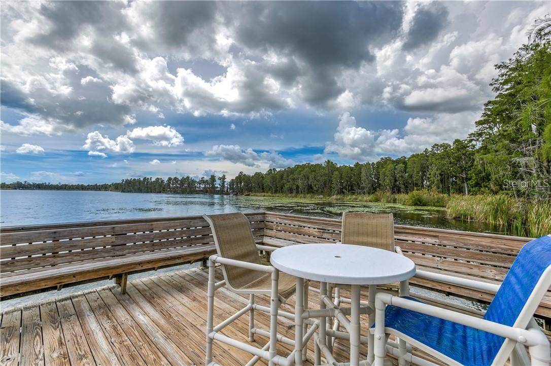 11919 CASTINE ST, NEW PORT RICHEY, FL, 34654