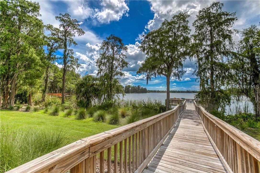 11919 CASTINE ST, NEW PORT RICHEY, FL, 34654