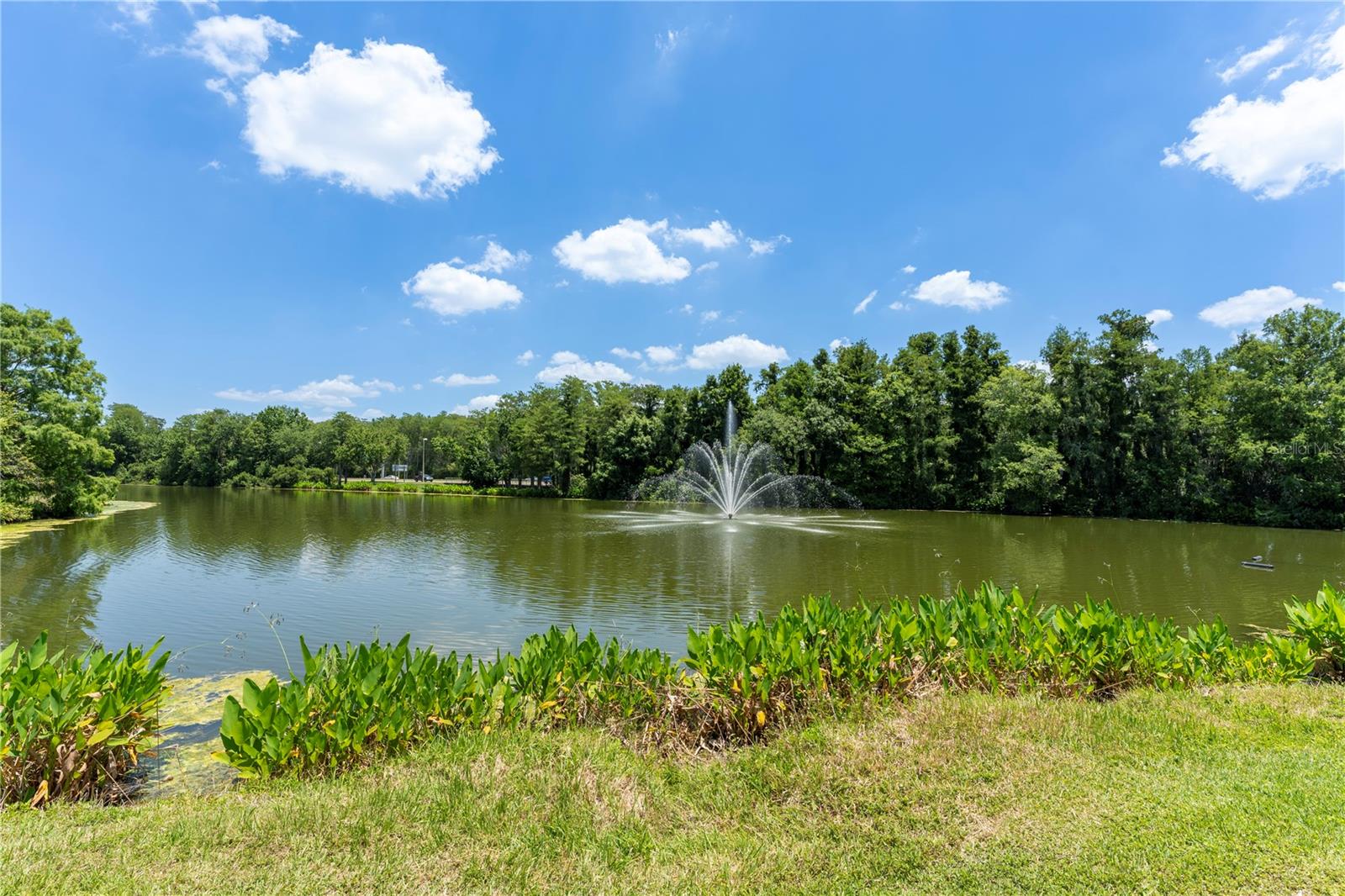 14013 FAIRWAY ISLAND DR #426, ORLANDO, FL, 32837
