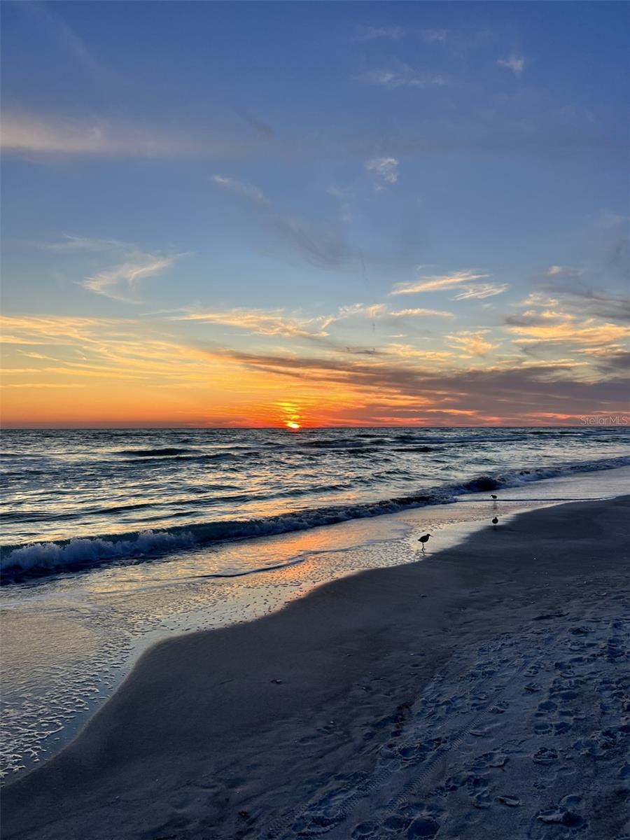 1050 LONGBOAT CLUB RD #803, LONGBOAT KEY, FL, 34228