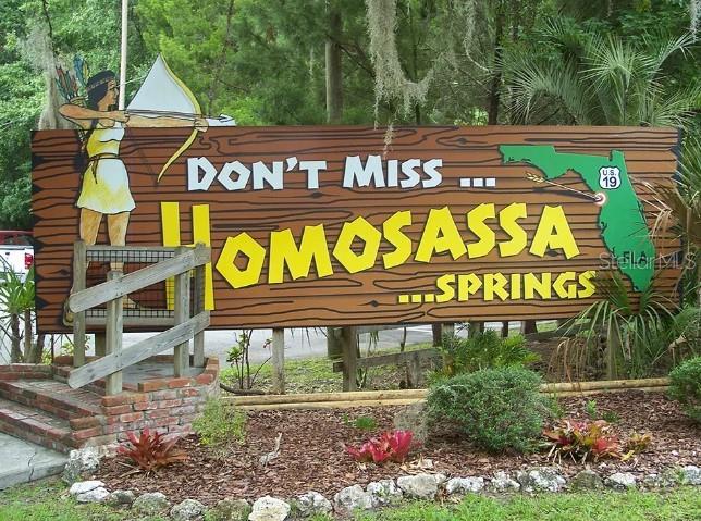 10 ASTERS CT, HOMOSASSA, FL, 34446