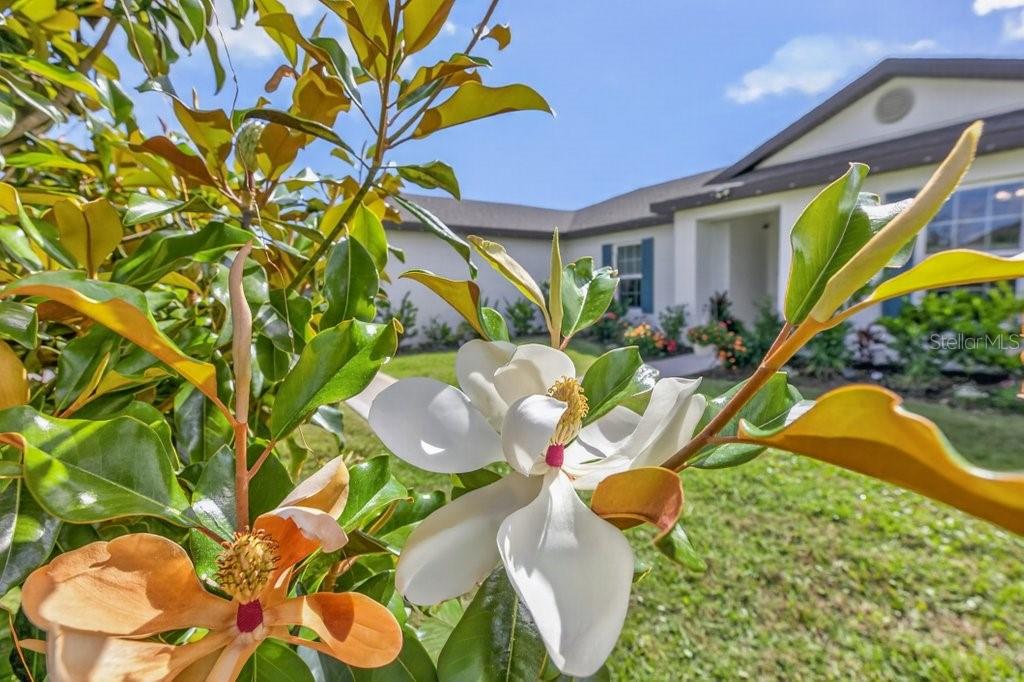 15 PRINCESS KATHLEEN LN, PALM COAST, FL, 32164