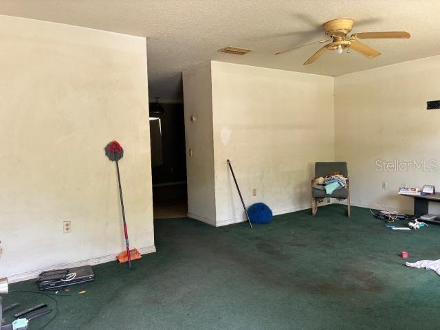 684 GLENHAVEN AVE, PIERSON, FL, 32180