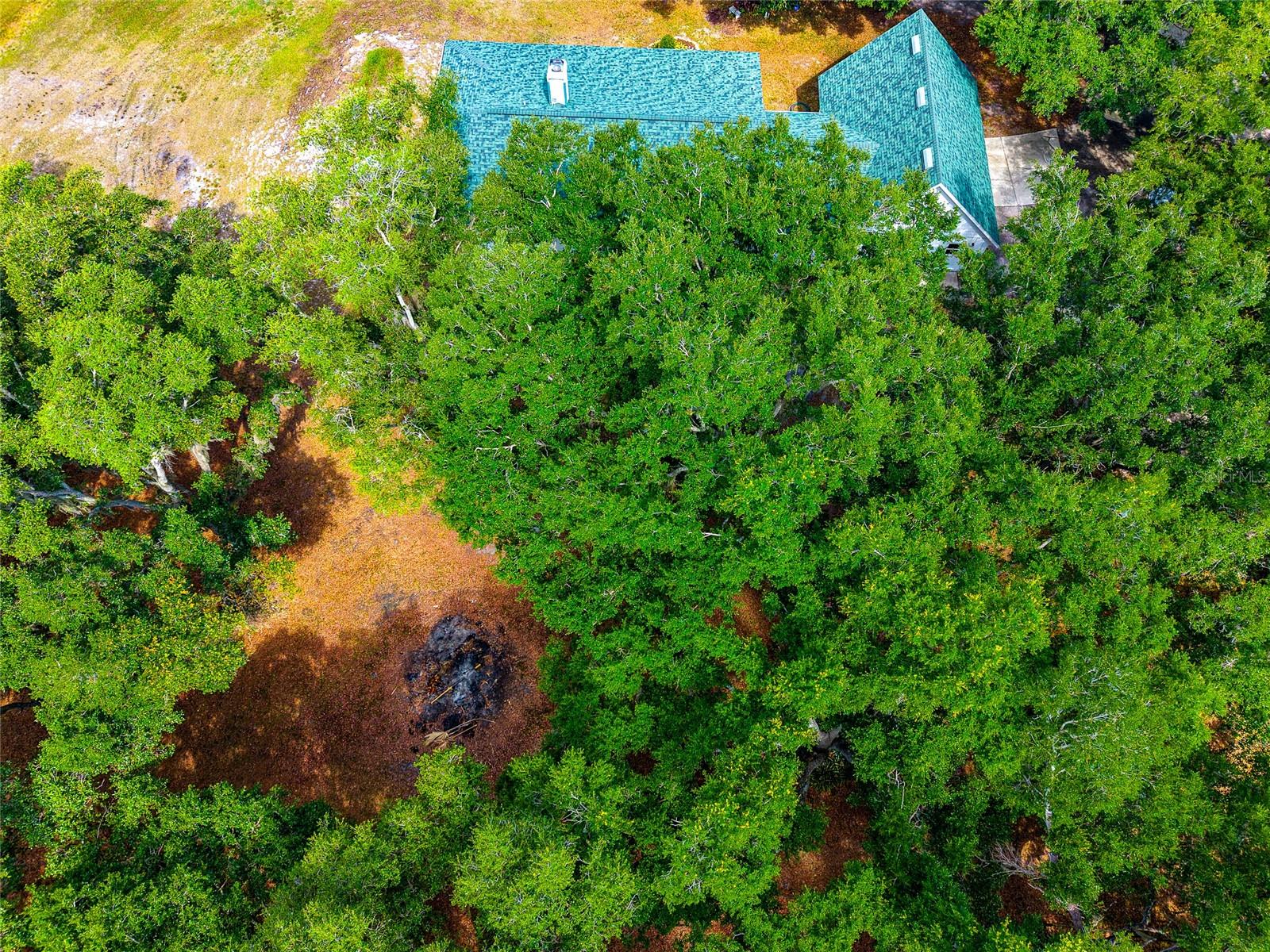 14705 MOSSY HAMMOCK LN, MYAKKA CITY, FL, 34251