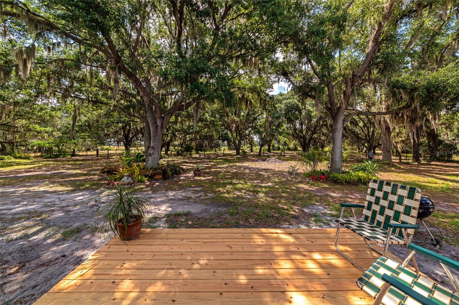 14705 MOSSY HAMMOCK LN, MYAKKA CITY, FL, 34251