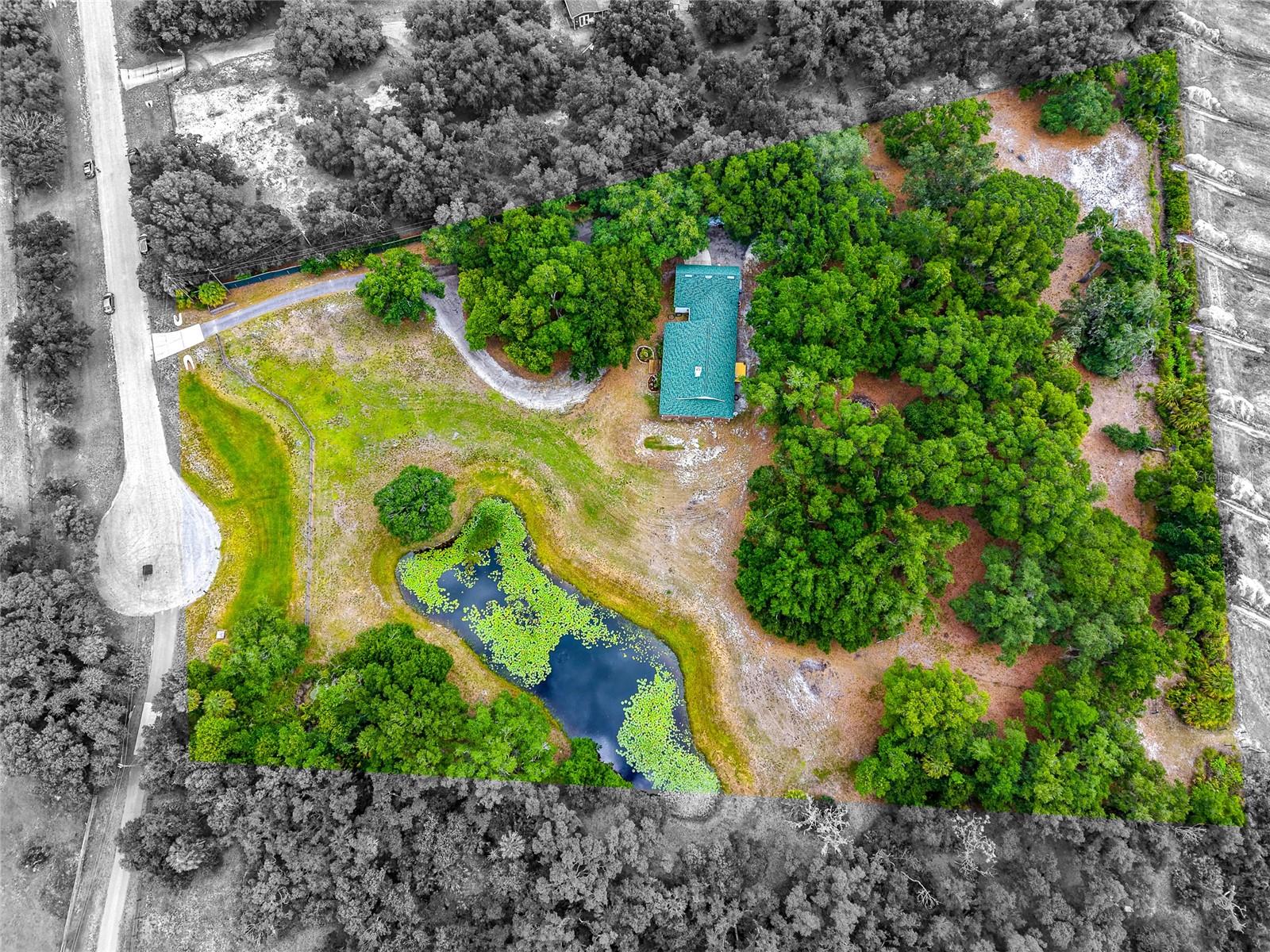 14705 MOSSY HAMMOCK LN, MYAKKA CITY, FL, 34251