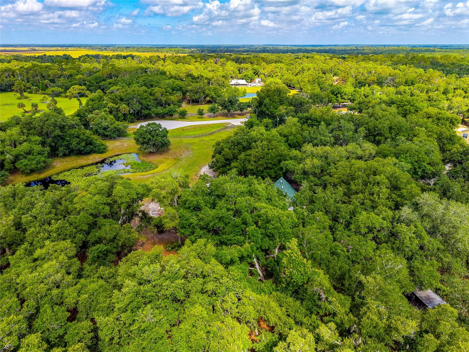 14705 MOSSY HAMMOCK LN, MYAKKA CITY, FL, 34251