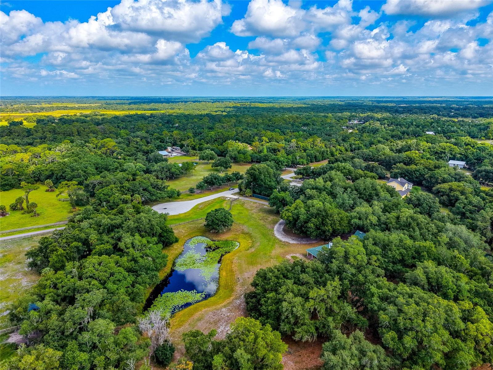 14705 MOSSY HAMMOCK LN, MYAKKA CITY, FL, 34251
