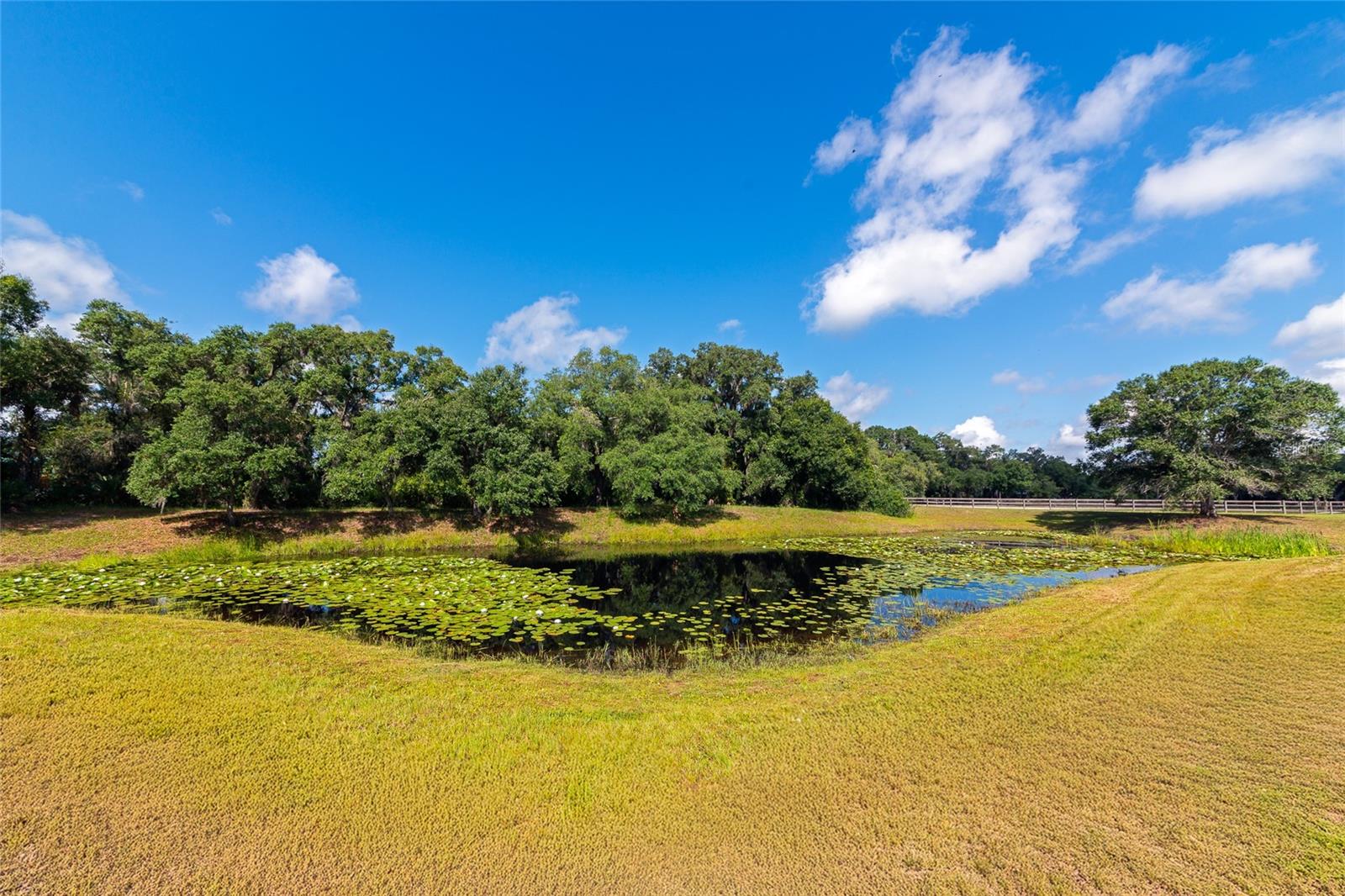 14705 MOSSY HAMMOCK LN, MYAKKA CITY, FL, 34251