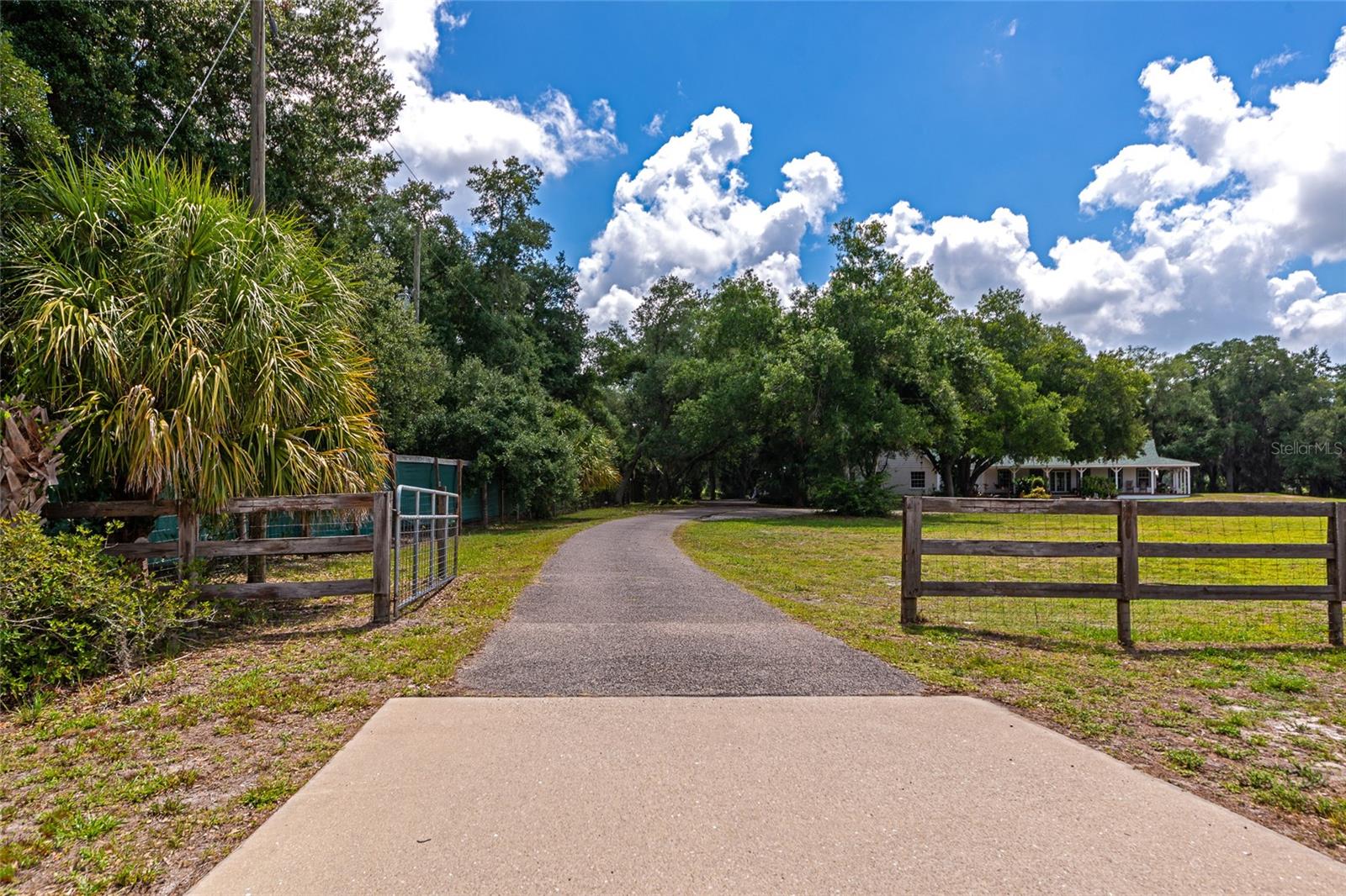 14705 MOSSY HAMMOCK LN, MYAKKA CITY, FL, 34251
