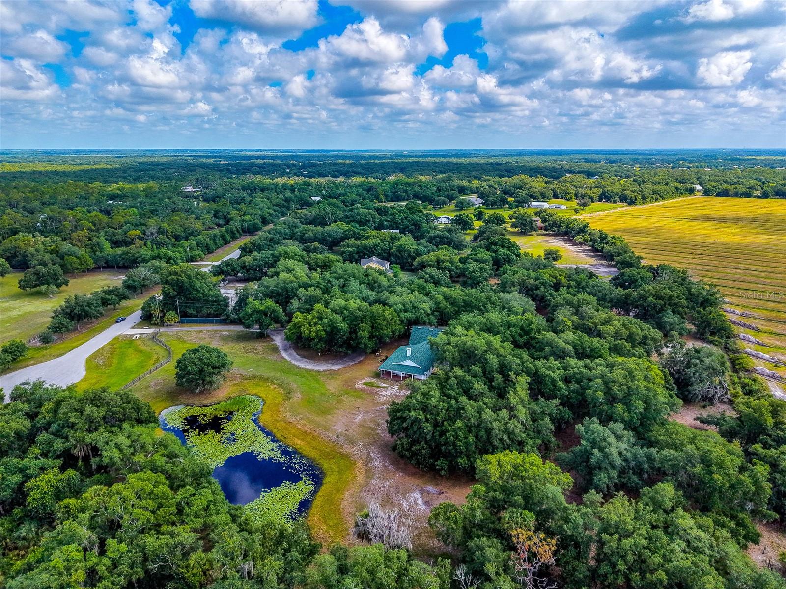 14705 MOSSY HAMMOCK LN, MYAKKA CITY, FL, 34251